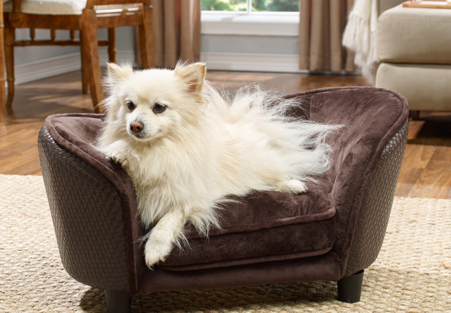 Dog Furniture Wayfair